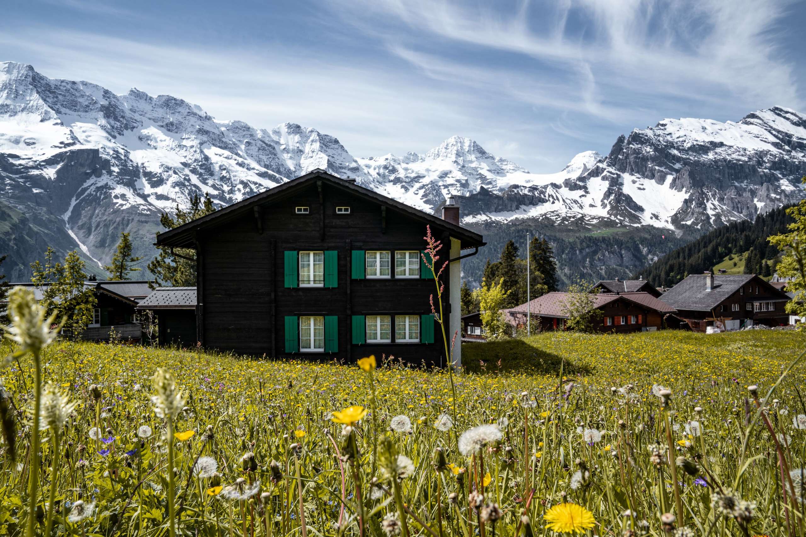 House in Mürren in the village, the mountain range in the background and flowers in the foreground