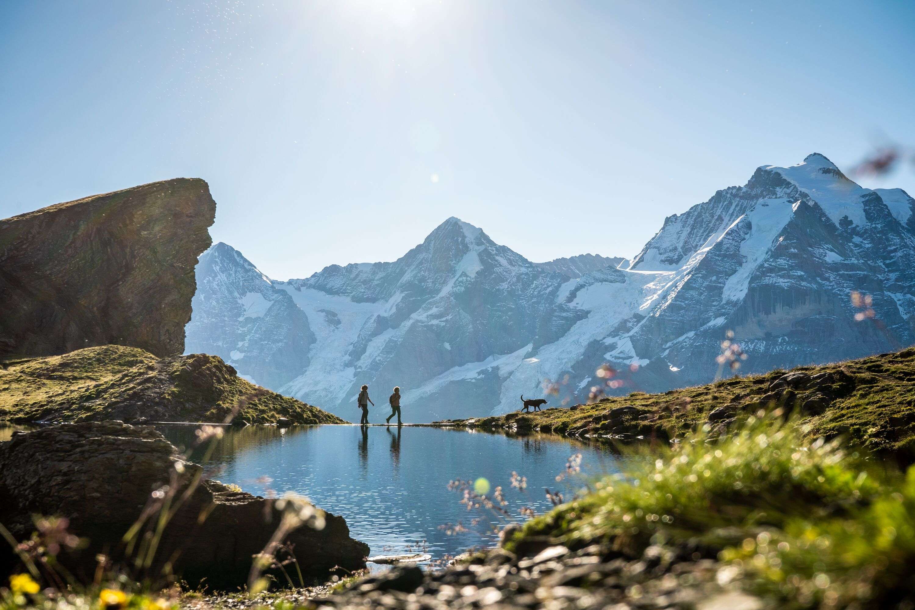 Alle Infos zu den Ferien in Mürren - Mürren Tourismus
