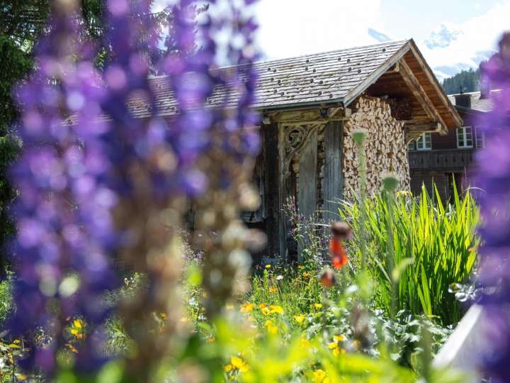 Dorfrundgang Mürren