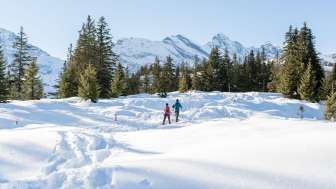Winter hikes