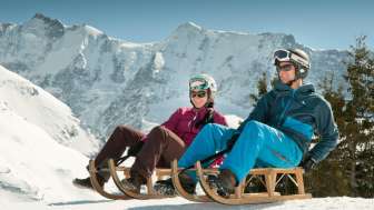 Sledging runs