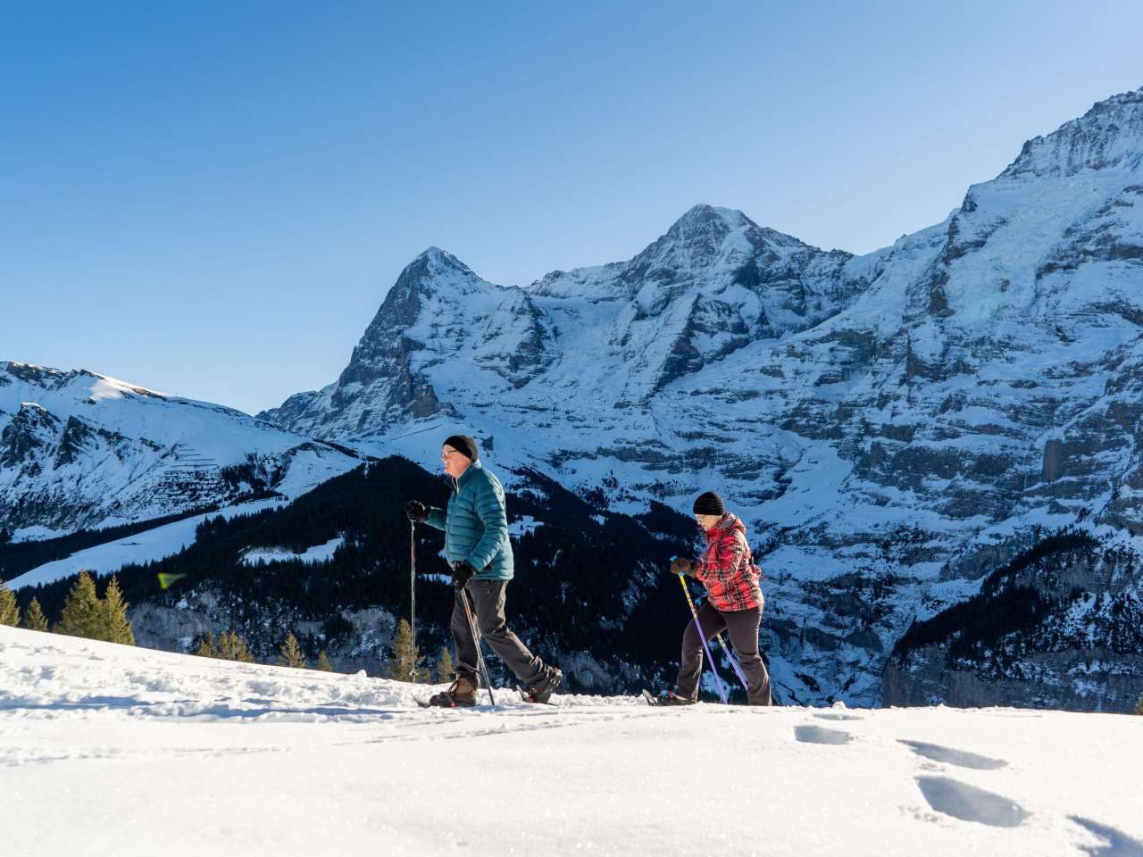 Snowshoe hikes