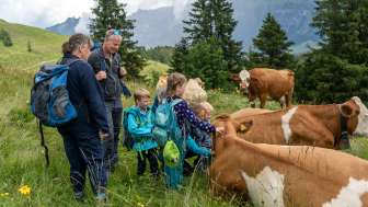 Kuh- Wege & Genuss
