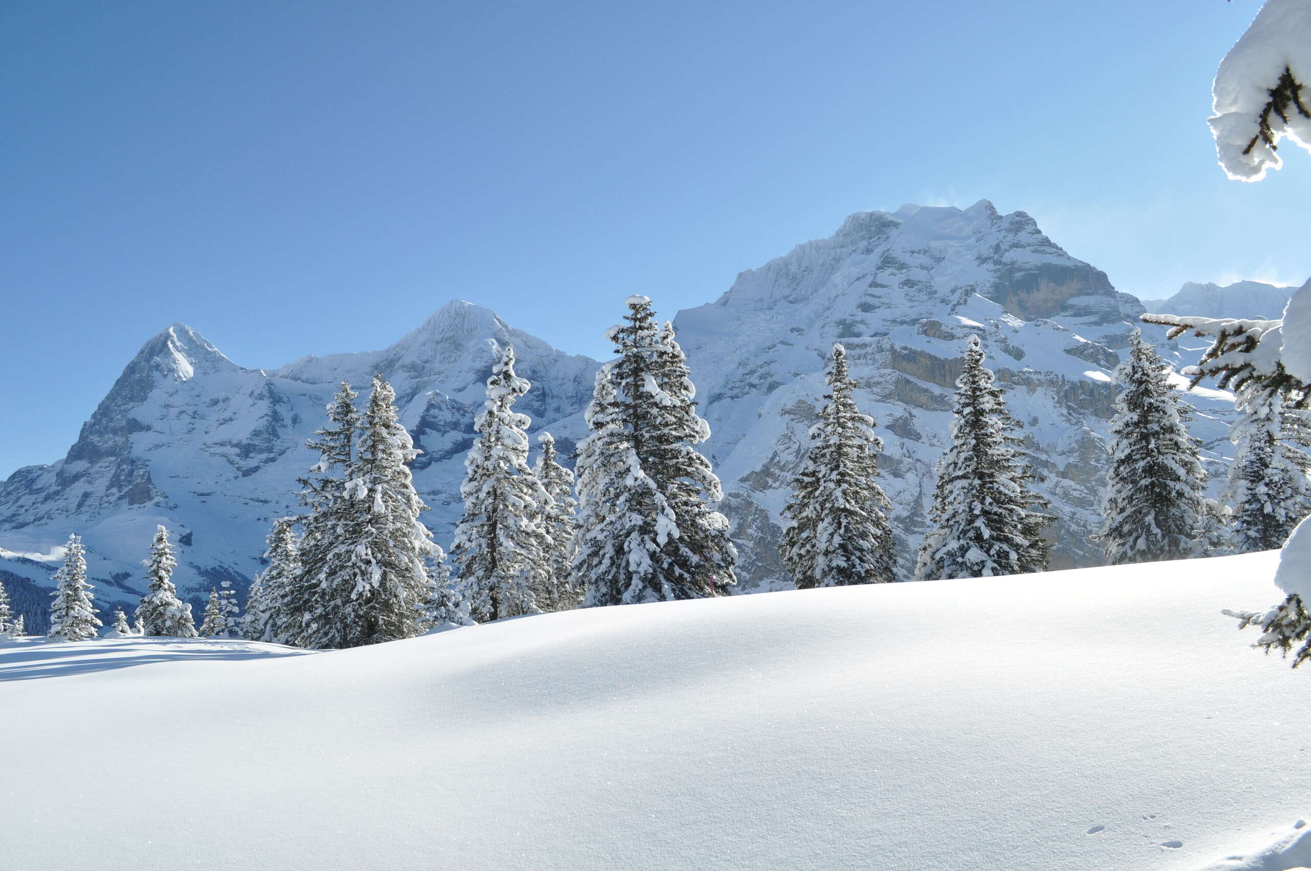 Paysage hivernal intact sur la Chänelegg avec vue sur l'Eiger, le Mönch et la Jungfrau.