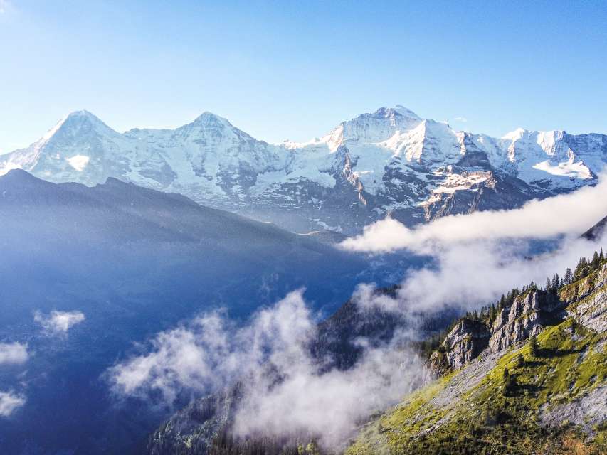 Encounters with animals in the Jungfrau region