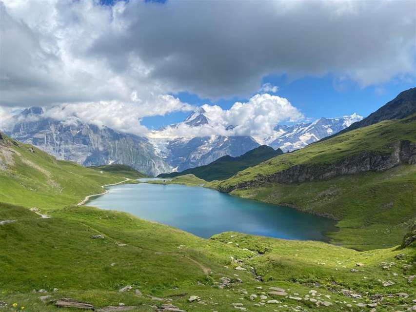 Schynige Platte - First