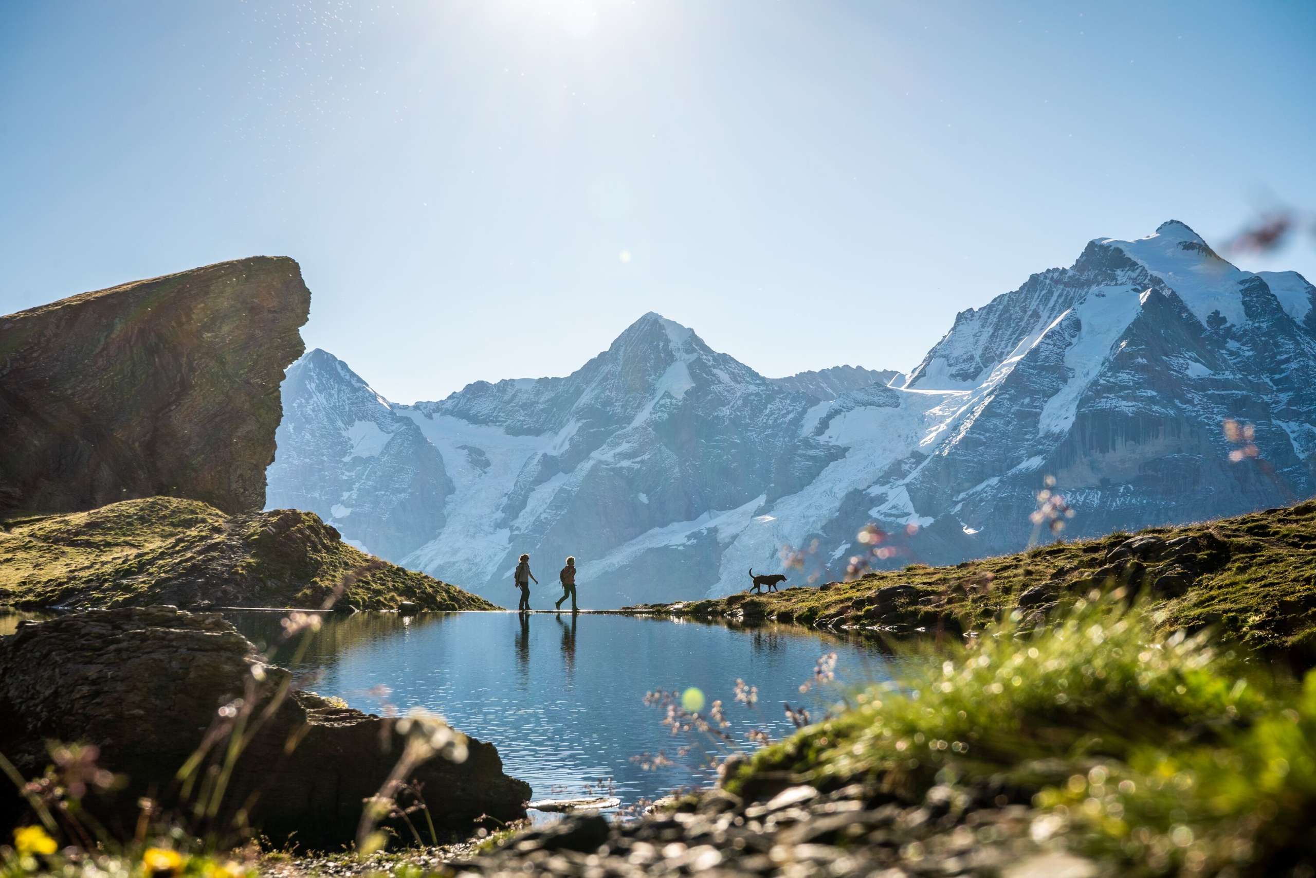 Randonnée avec le chien au Grauseeli. Le panorama de montagnes enneigées avec l'Eiger, le Mönch et la Jungfrau s'étend en arrière-plan.
