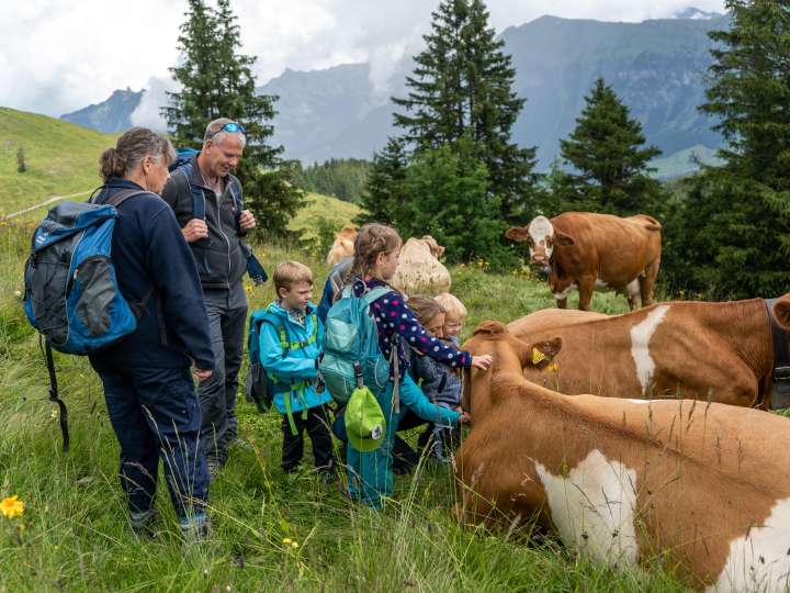 Les sentiers des vaches et les plaisirs de la table