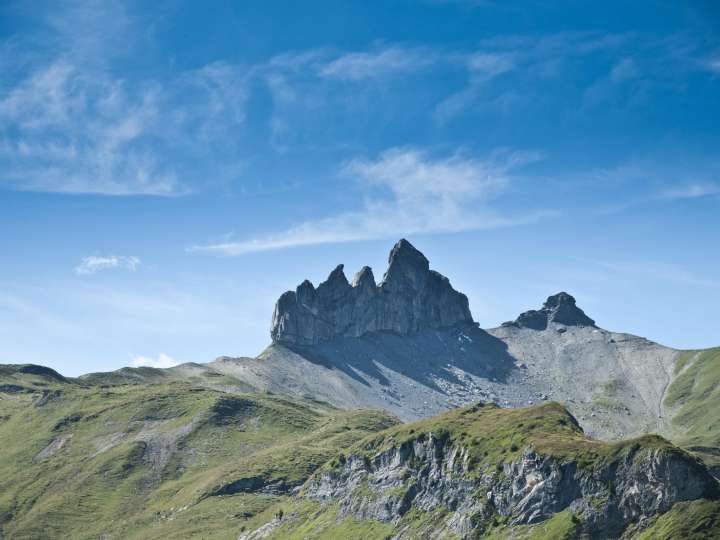 Lobhörner